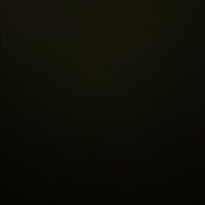 Meet your Posher, Ariana